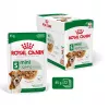 Märg koeratoit Royal Canin Mini Ageing 12+ Adult kotike 85 g — väikesed tõud, linnuliha, seenior