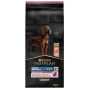 PURINA Sensitive Skin Large Athletic Adult Salmon - kuivtoit koertele - 14 kg
