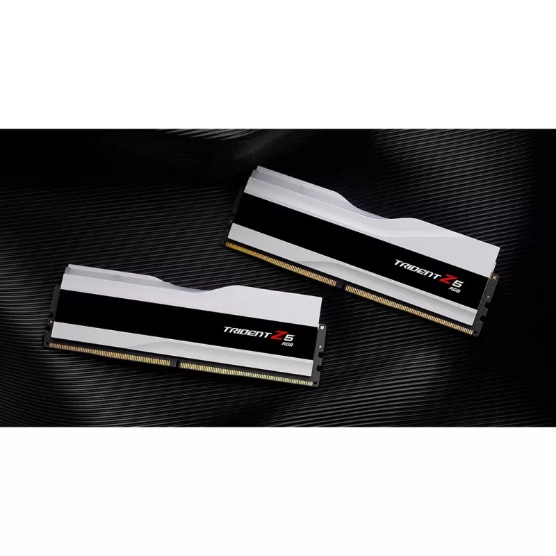 G.skill F5-8000J4048F24GX2-TZ5RW mälumoodul