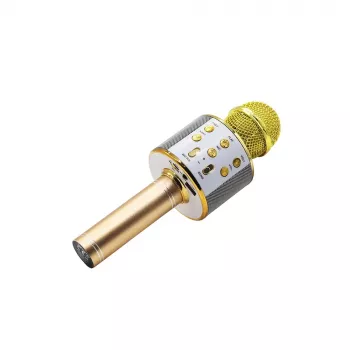 Mikrofon MANTA MIC10-G Gold kardioidne kaasaskantav — kardioidne kondensaator, pihuformaadis