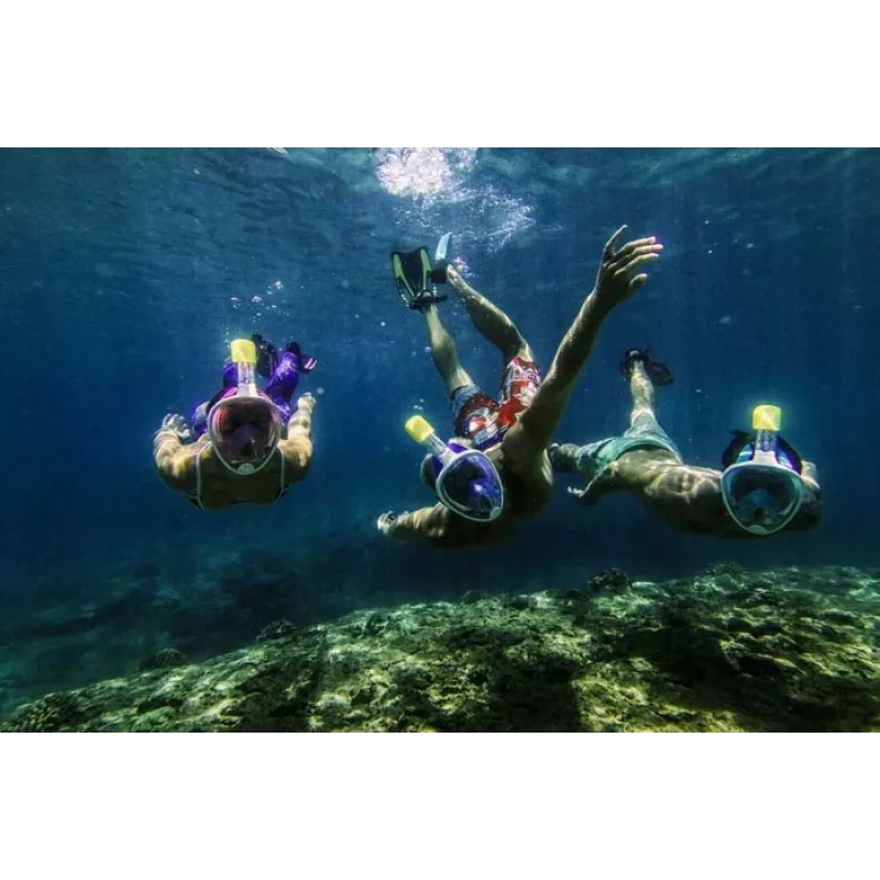 Snorkeldamismask Free Breath M2068G L/XL — täisnäomask, suurus L/XL, must
