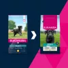 Kuiv koeratoit EUKANUBA Adult Large Chicken 15 kg — täiskasvanud suurt tõugu koertele mõeldud täisväärtuslik kuivtoit, kana, 15 kg