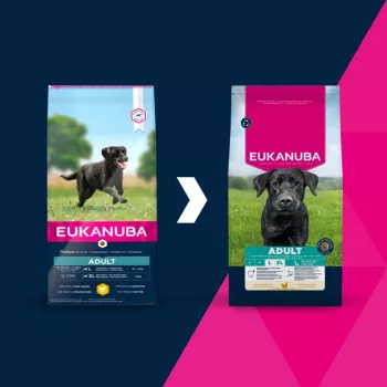 Kuiv koeratoit EUKANUBA Adult Large Chicken 15 kg — täiskasvanud suurt tõugu koertele mõeldud täisväärtuslik kuivtoit, kana, 15 kg