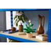LEGO BOTANICALS 11504 Rahuliilia