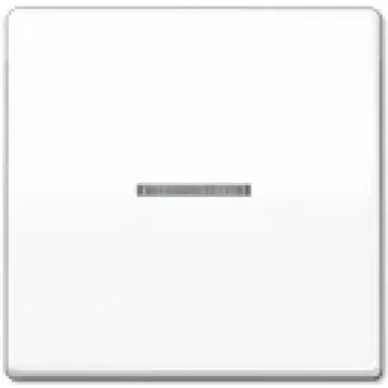 Seinale paigaldatav lülitussisend JUNG AS 591 KO5BFS WW, valge, IP44, ühildub 502/503/506 seeriatega