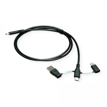 ROLINE USB 2.0 kaabel tüüp C ST/ST andmeblokeerimisadapteritega A ja C - Kaabel - Digitaalne/andmeedastus