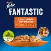 Felix Fanstastic Chicken, Tomato - Märg kassitoit - 85 g