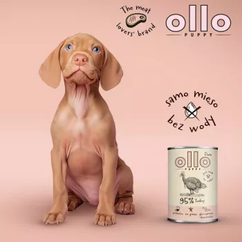 OLLO Puppy Pure kalkuniga märg koeratoit - 850 g