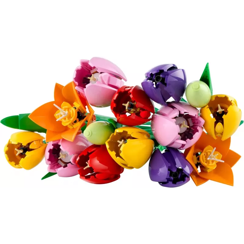 LEGO BOTANICALS 11501 Tulbikimp