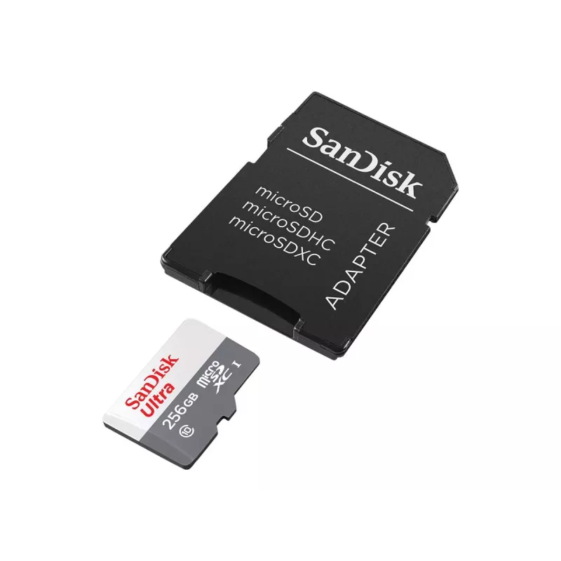 Välkmälu SanDisk 256 GB MicroSDXC UHS-I SDSQUNR-256G-GN6TA
