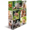 HERMA 19252 ring binder A4 Mitmevärviline D-rõnga Hoiustamine