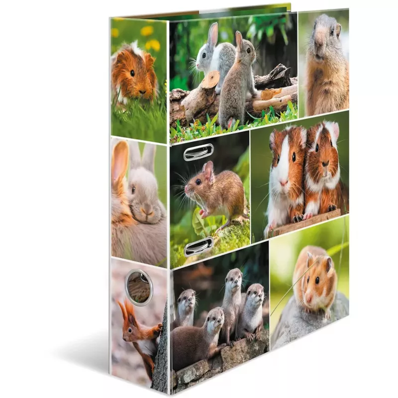 HERMA 19252 ring binder A4 Mitmevärviline D-rõnga Hoiustamine