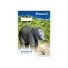 Kunstipaberi plokk Pelikan 224840
