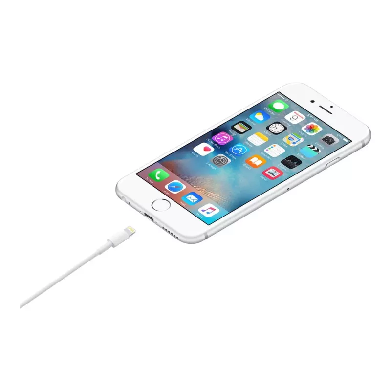 Apple Lightning-USB kaabel 1m MUQW3ZM/A