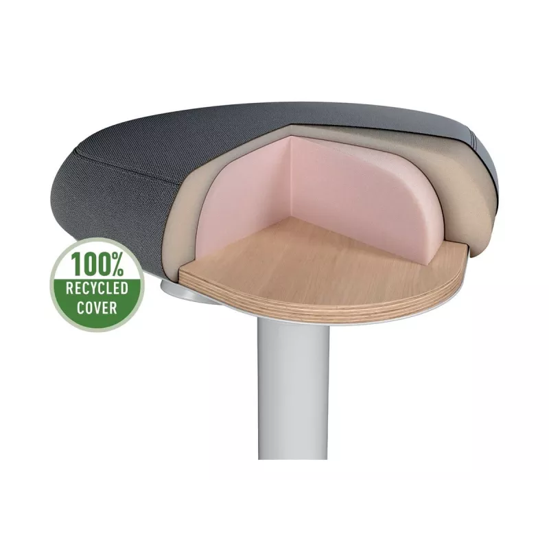 Kontoritool Leitz 65440085 Polsterdatud iste Hall Plastikraam