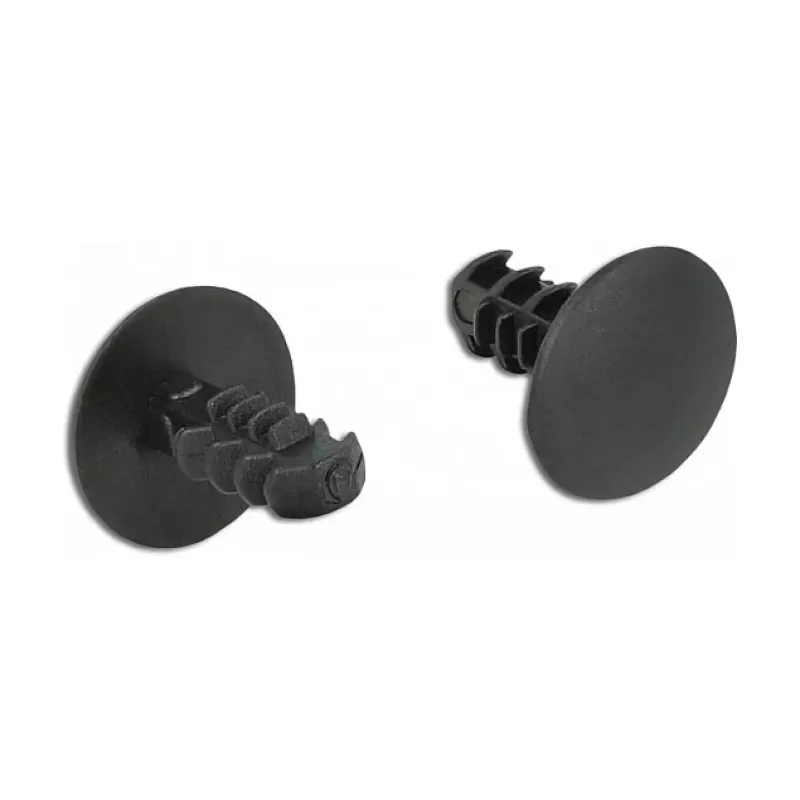Kuuseklambrid DeLOCK 60188 must nailon 10 tk