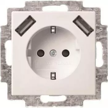 Busch-Jaeger SCHUKO-2x USB pistikupesa 20 EUCB2USB-914 (2CKA002011A6266)