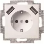 Busch-Jaeger SCHUKO-2x USB pistikupesa 20 EUCB2USB-914 (2CKA002011A6266)