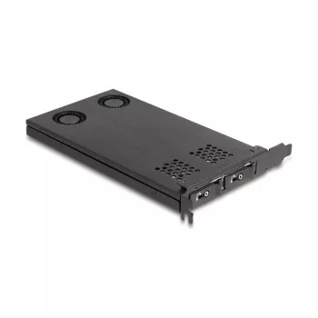 Delock PCI Express x16 kaardiraam kahele M.2 NVMe SSD-le, bifurkatsiooniga 47042