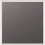 S. Siedle & Soehne Blindmodul BM 611-0 DG Dark hall-glimmer Blind-Mod (200038833-00)