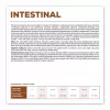 VET EXPERT Veterinary Diet Intestinal Dog - kuivtoit koertele - 12 kg