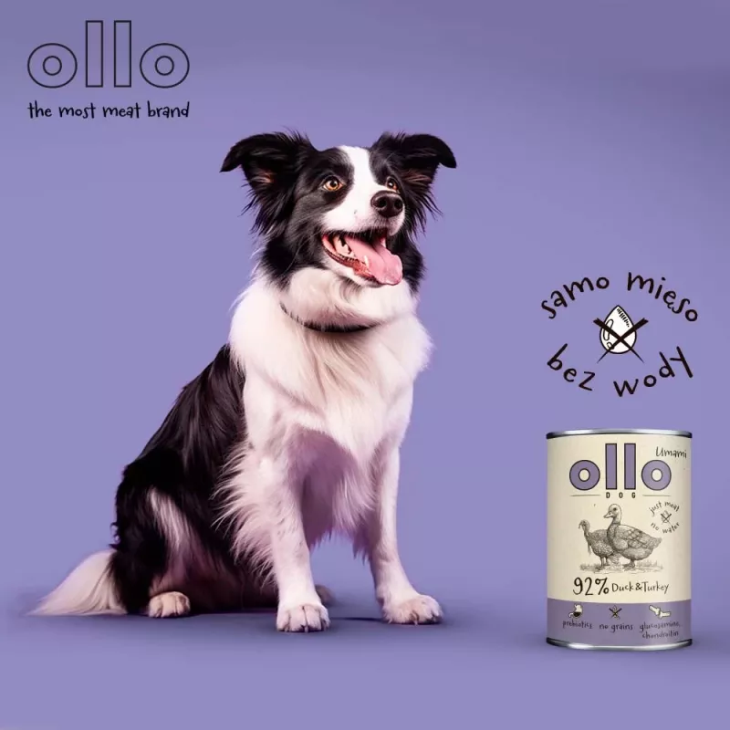 OLLO Umami Pardiliha ja kalkun – märg koeratoit – 850 g