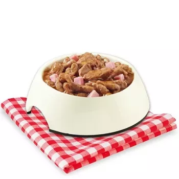 STUZZY Sfilaccetti kana singiga - märg koeratoit - 100g