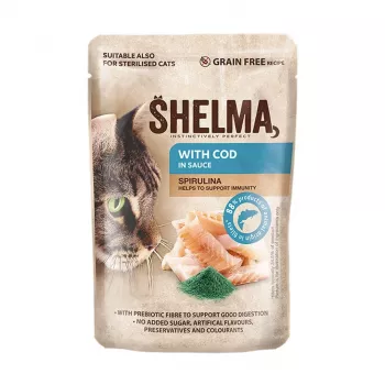 SHELMA tursaga kastmes - märg kassitoit - 85g