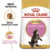 Kuiv kassitoit Royal Canin Maine Coon Kitten 2 kg — linnuliha, valk 36%, rasv 23%
