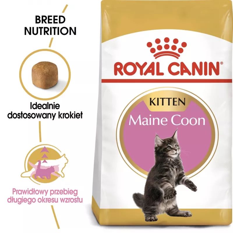 Kuiv kassitoit Royal Canin Maine Coon Kitten 2 kg — linnuliha, valk 36%, rasv 23%