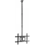 SpeaKa Professional SP-TVCM-540 TV-lae kinnitus, reguleeritava kõrgusega 94,0 cm 37 - 203,2 80 (SP-13660960)