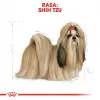 Kuiv koeratoit Royal Canin Shih Tzu Adult 7,5 kg — kana, 24% valku, 20% rasva