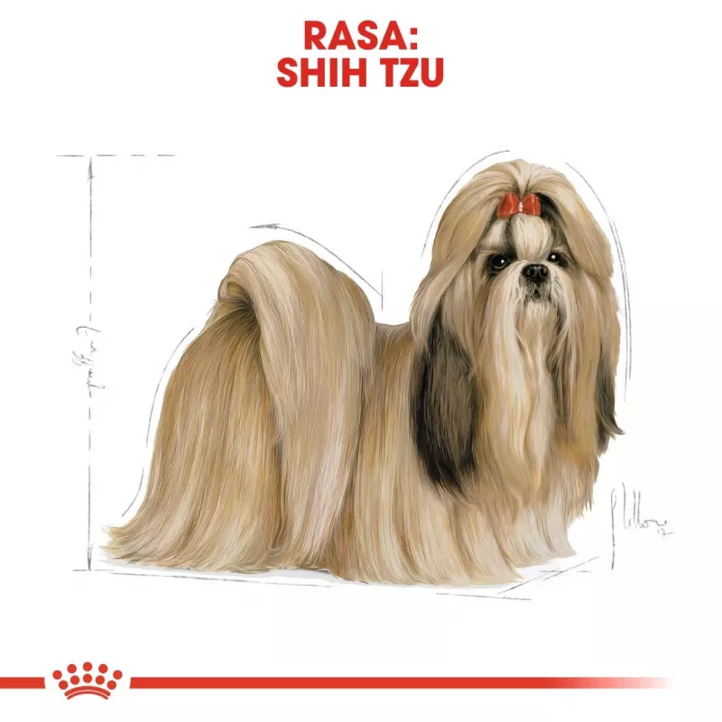 Kuiv koeratoit Royal Canin Shih Tzu Adult 7,5 kg — kana, 24% valku, 20% rasva