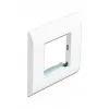 Moodulihoidik DeLOCK Easy 45 80x80 mm valge