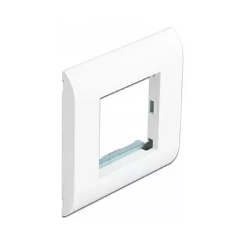 Moodulihoidik DeLOCK Easy 45 80x80 mm valge