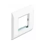 Moodulihoidik DeLOCK Easy 45 80x80 mm valge