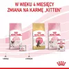Royal Canin BABYCAT INSTINCTIVE - Märg kassitoit - 195 g