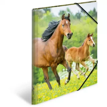 PP-kaust HERMA 7145 A3 mitmevärviline