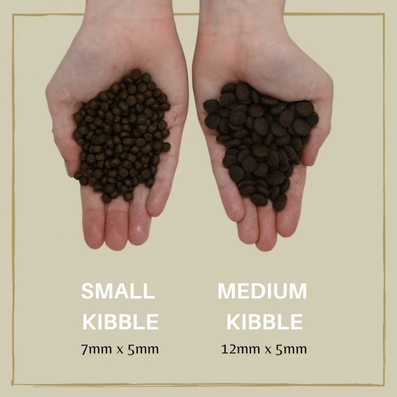 Kuiv koeratoit Eden Puppy Cuisine 80/20 Medium kibble 2 kg — kutsikavormel, lõhe, 40% valku, 17,5% rasva