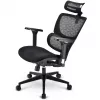 Kontoritool Sharkoon OfficePal C40 — must, ergonoomiline disain, reguleeritav kõrgus