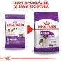 ROYAL CANIN Giant Adult - kuiv koeratoit - 15 kg