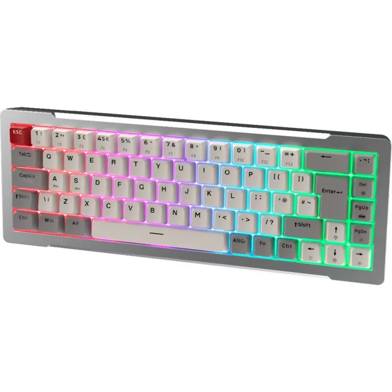 Raijintek MGA-68 mänguklaviatuur, Hejin Magnetic Yellow lülitid, DE paigutus, hõbedane