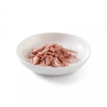 SCHESIR tarretises tuunikala - märg kassitoit - 85 g