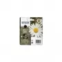 Epson Daisy Singlepack Must 18XL Claria Home tint, kõrge (XL) mahutavus, must, pigmenttint, 1 tk