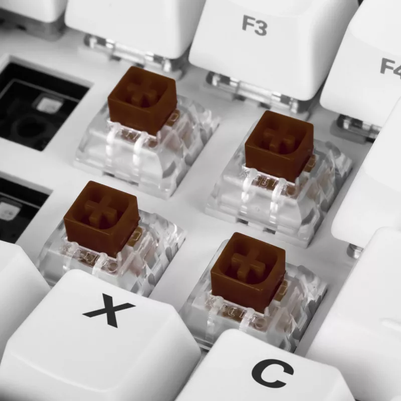 Kailh Box Brown Switch-Set, Tastenschalter braun/transparent, 35 Stück