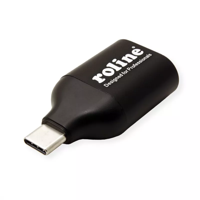 ROLINE 12.03.3228 USB-graafikaadapter 1920 x 1080 pikslit Must (12.03.3228)