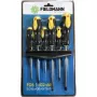 Käsikruvikeerajate komplekt Fieldmann FDS 1102-6R