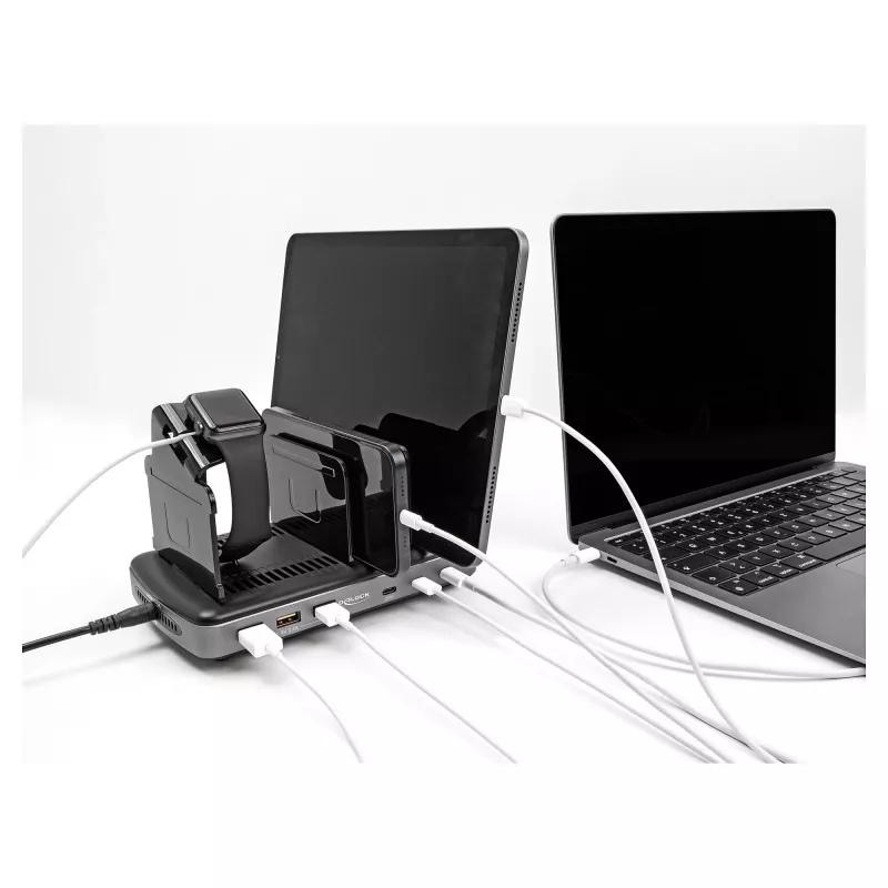DeLOCK USB laadimisjaam 3 x USB USB-C PD 3 x USB Type-A 112 W