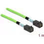 PCI Express kaabel DeLOCK Mini SAS HD SFF-8673 – SFF-8673 1 m