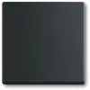 Valguslüliti Busch-Jaeger 1751-0-3041, plastkorpus, must, nupud, 63×63 mm